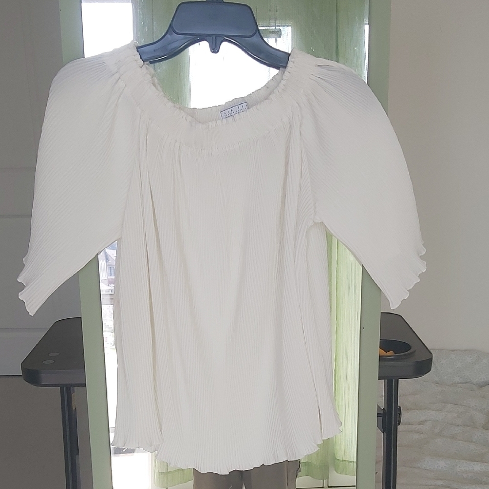 Cream Puff Sleeve Ruffled Blouse